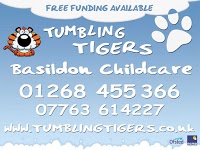 Tumbling Tigers 687733 Image 7